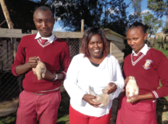 Rabbits Support Education, Kenya