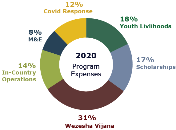 2020 Program Expenses