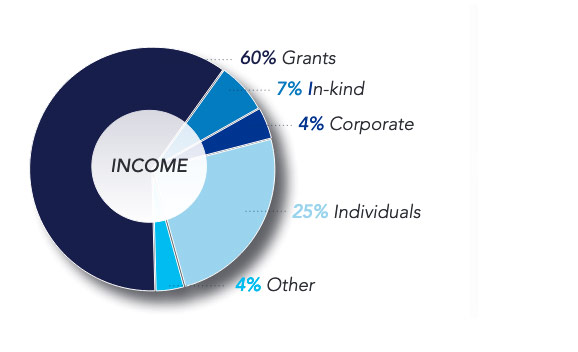 income pie chart