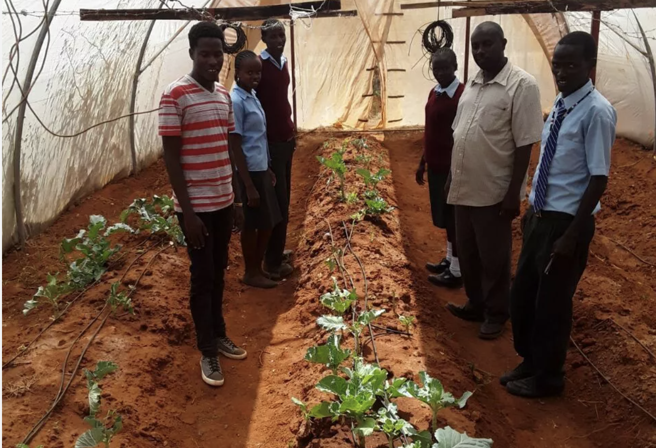 Growing Vegetables in Greenhouses, Kenya